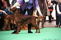 Crufts2011 193